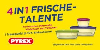 4in1 Frischetalente!